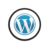 Wordpress - System CMS